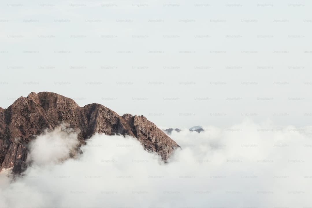 李承铉对张晋愧疚道歉 综艺里的真实温度